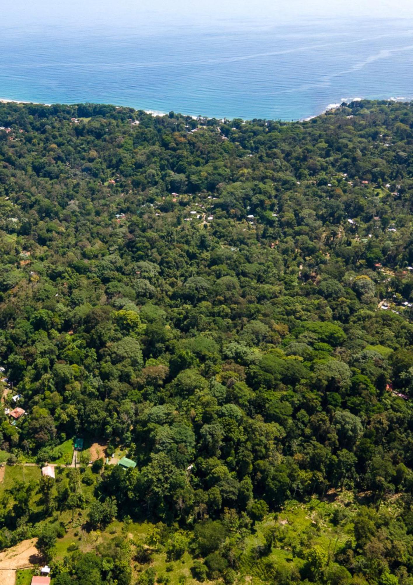 Colina Secreta - Glamping And Villas Puerto Viejo de Talamanca Extérieur photo