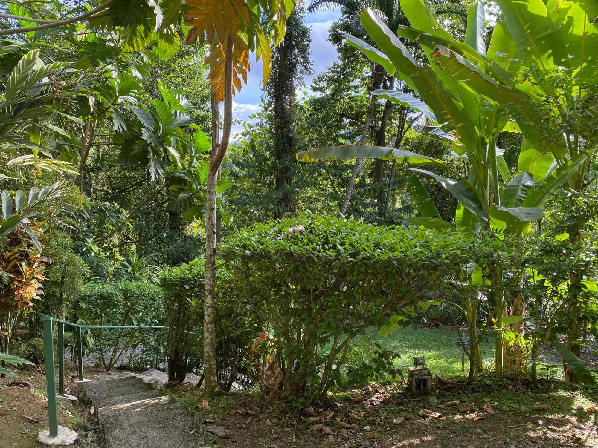 Colina Secreta - Glamping And Villas Puerto Viejo de Talamanca Extérieur photo
